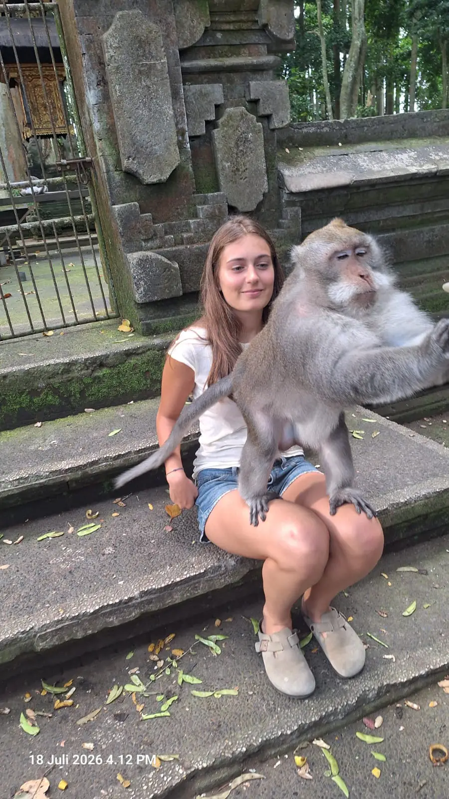 Face à face avec un macaque au temple de la Monkey Forest · juillet 2026