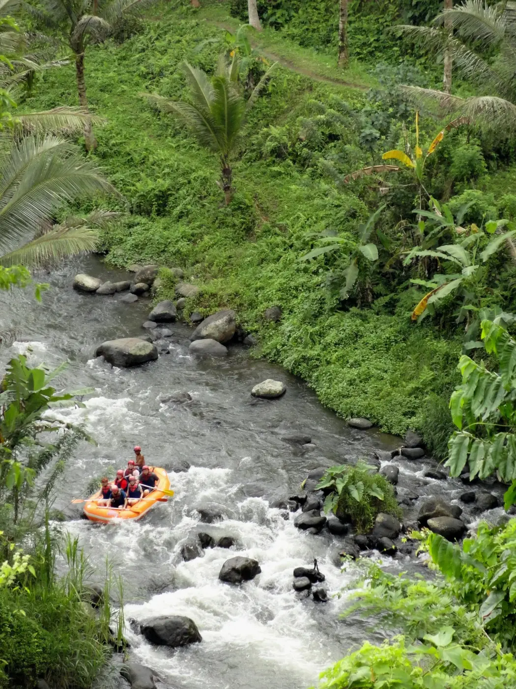 Rapides sur l'Ayung