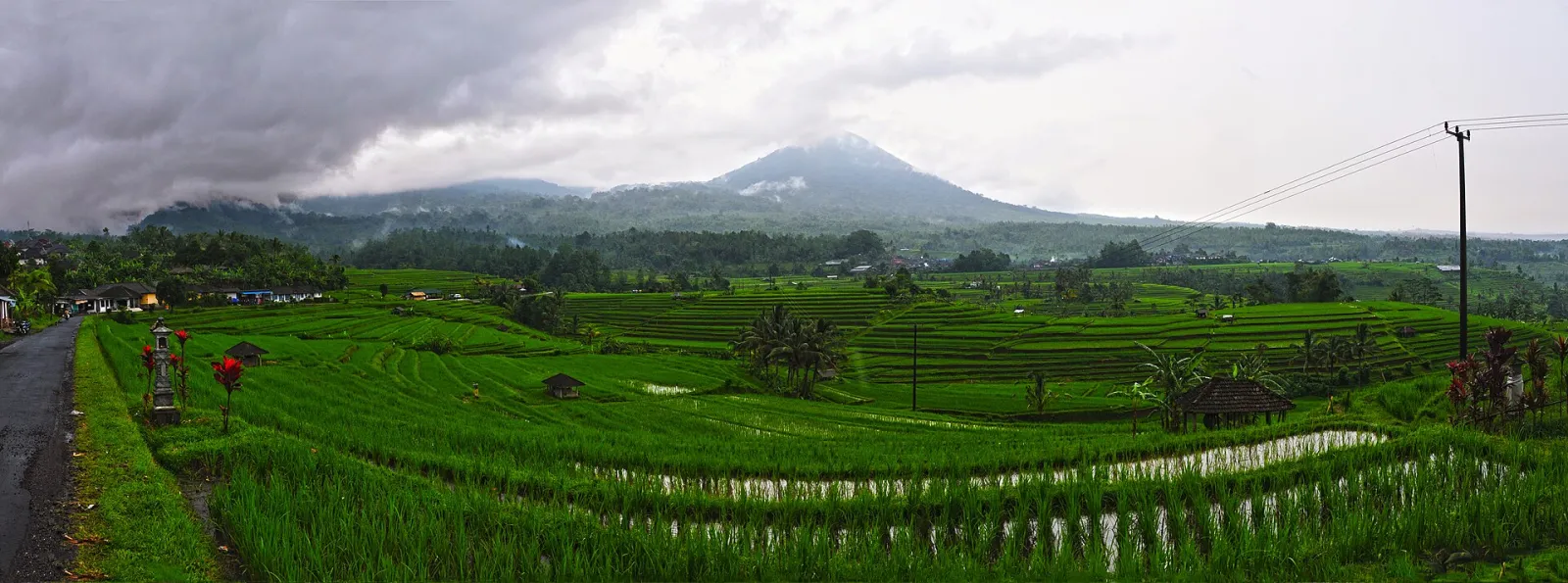 Panorama de Jatiluwih