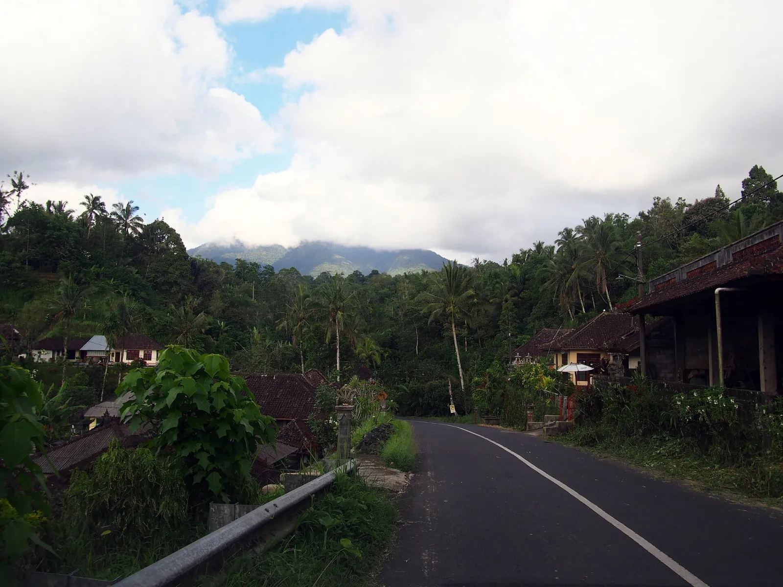 The road through Pupuan