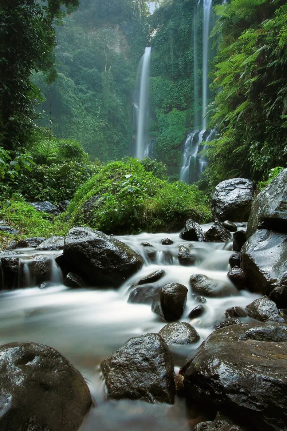 Les cascades en dessous de Sekumpul